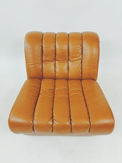 Lounge Sessel DS 85 de Sede